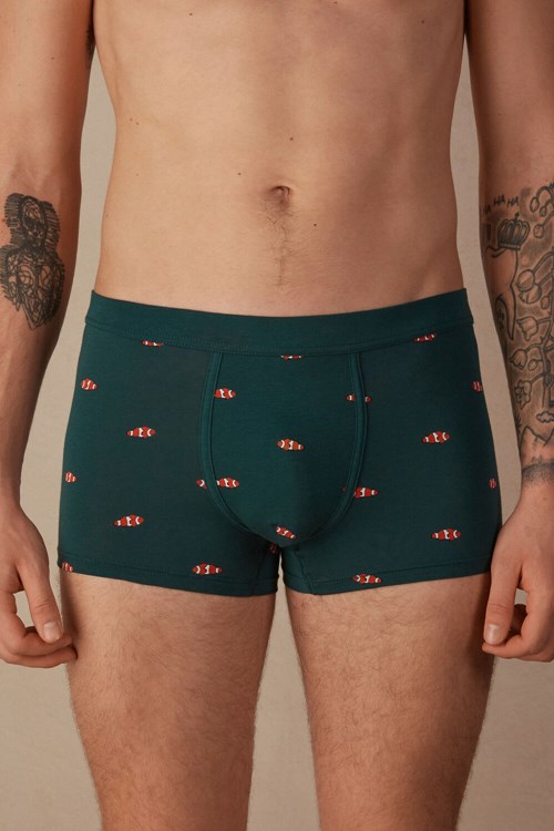 Intimissimi Clownfish Boxers in Natural Fresh Supima® Pamuklu Yeşil Koyu Yeşil Baskılı | WSZEM-6479